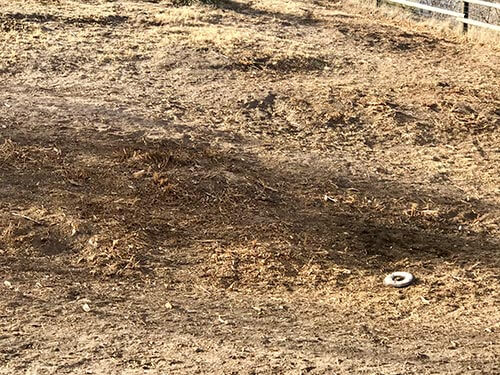 Same slope cleared to mulch with defensible space after mastication